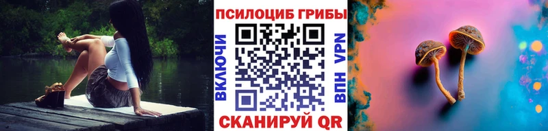 Галлюциногенные грибы прущие грибы  закладки  Урус-Мартан 